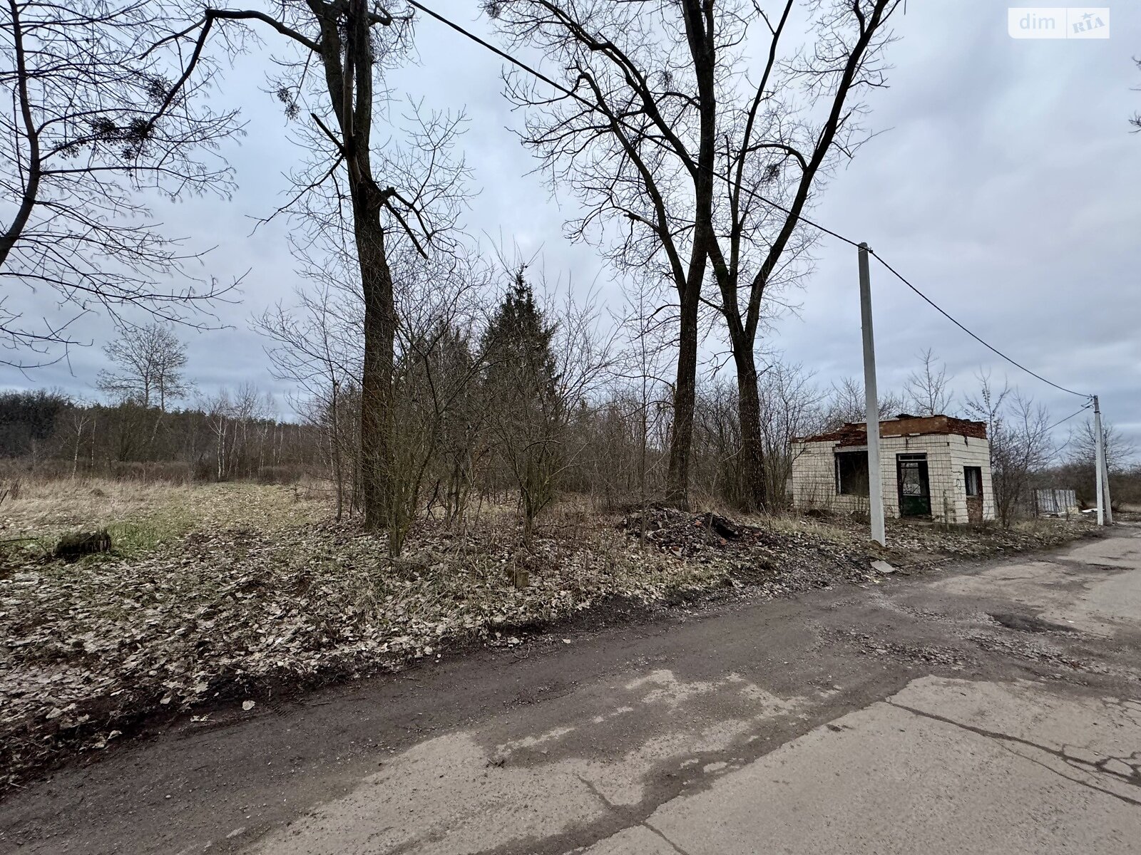 Земельна ділянка комерційного призначення в Славному, площа 45 соток фото 1 Земельна ділянка комерційного призначення в Славному, площа 45 соток фото 1