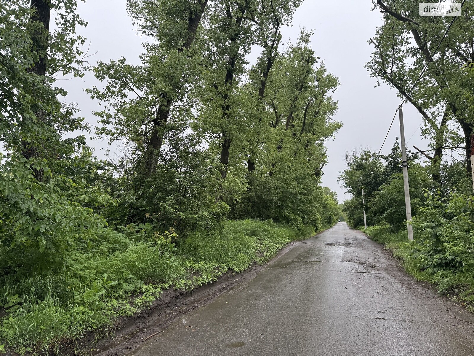 Земельна ділянка комерційного призначення в Славному, площа 45 соток фото 1 Земельна ділянка комерційного призначення в Славному, площа 45 соток фото 1