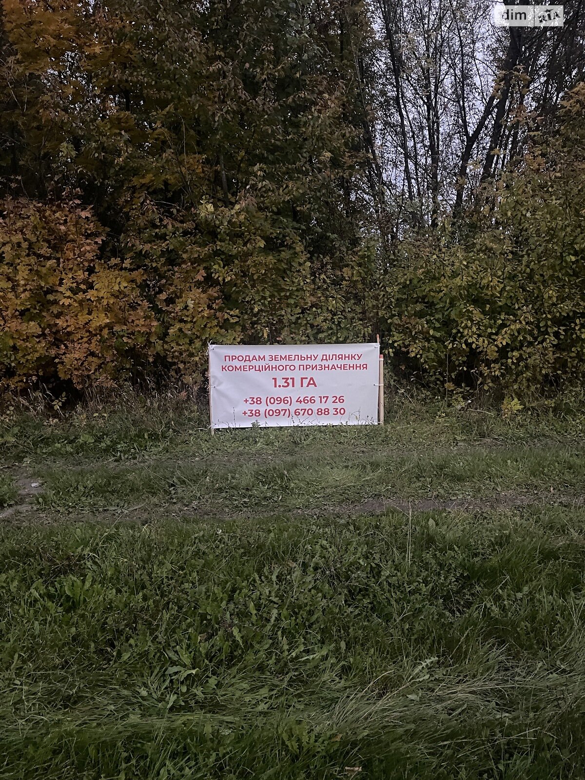 Земельна ділянка комерційного призначення в Солобківці, площа 131 сотка фото 1