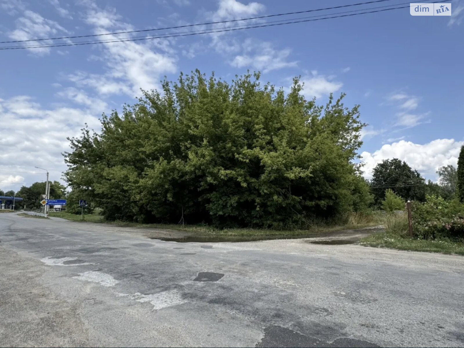 Земельна ділянка комерційного призначення в Солобківці, площа 131 сотка фото 1