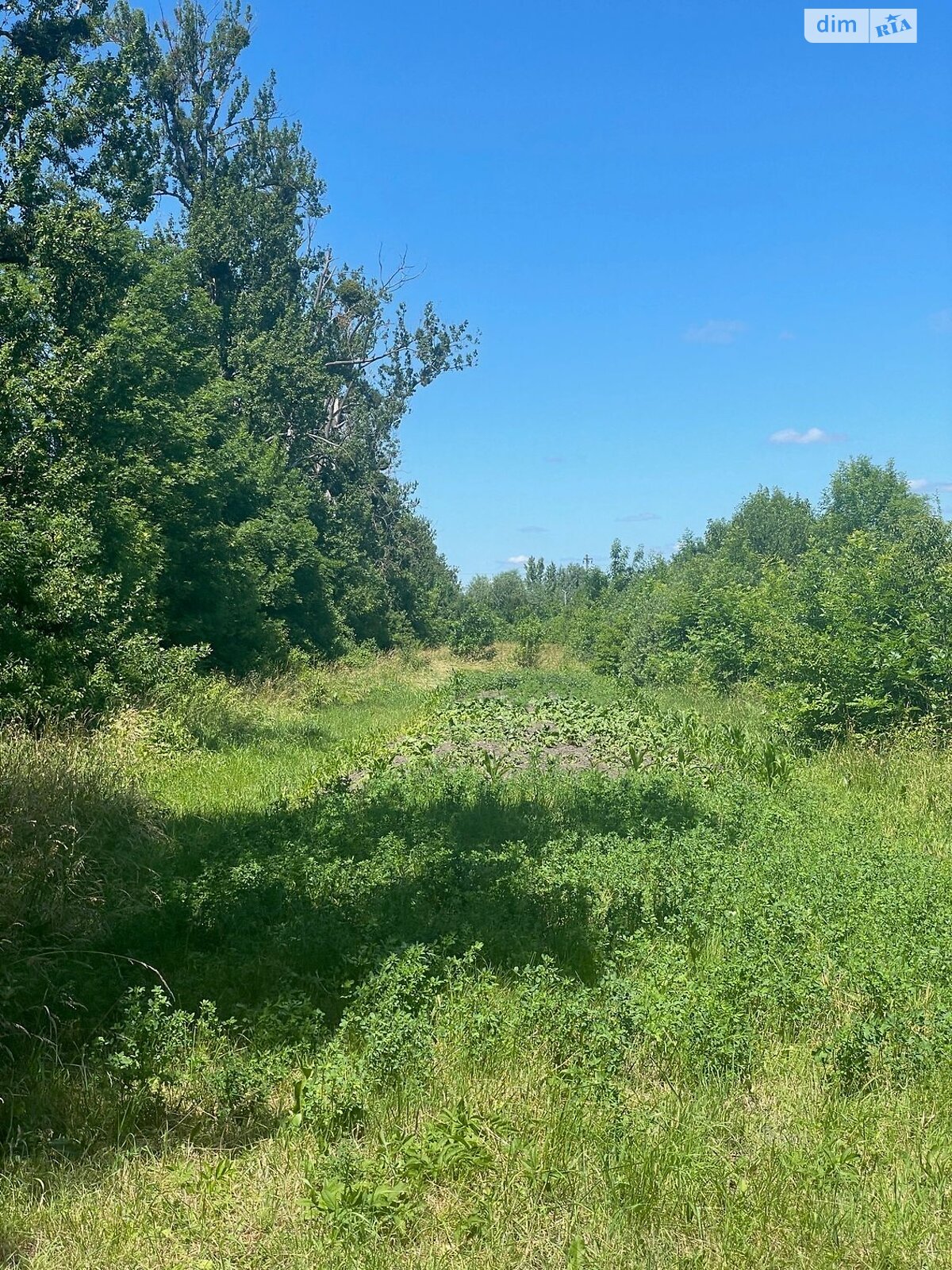 Земельна ділянка комерційного призначення в Сопошине, площа 0.045 Га фото 1