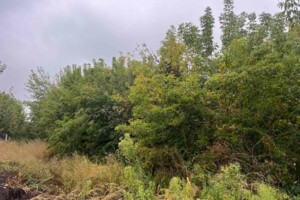 Земельна ділянка комерційного призначення в Сосниці, площа 0.7 Га фото 1