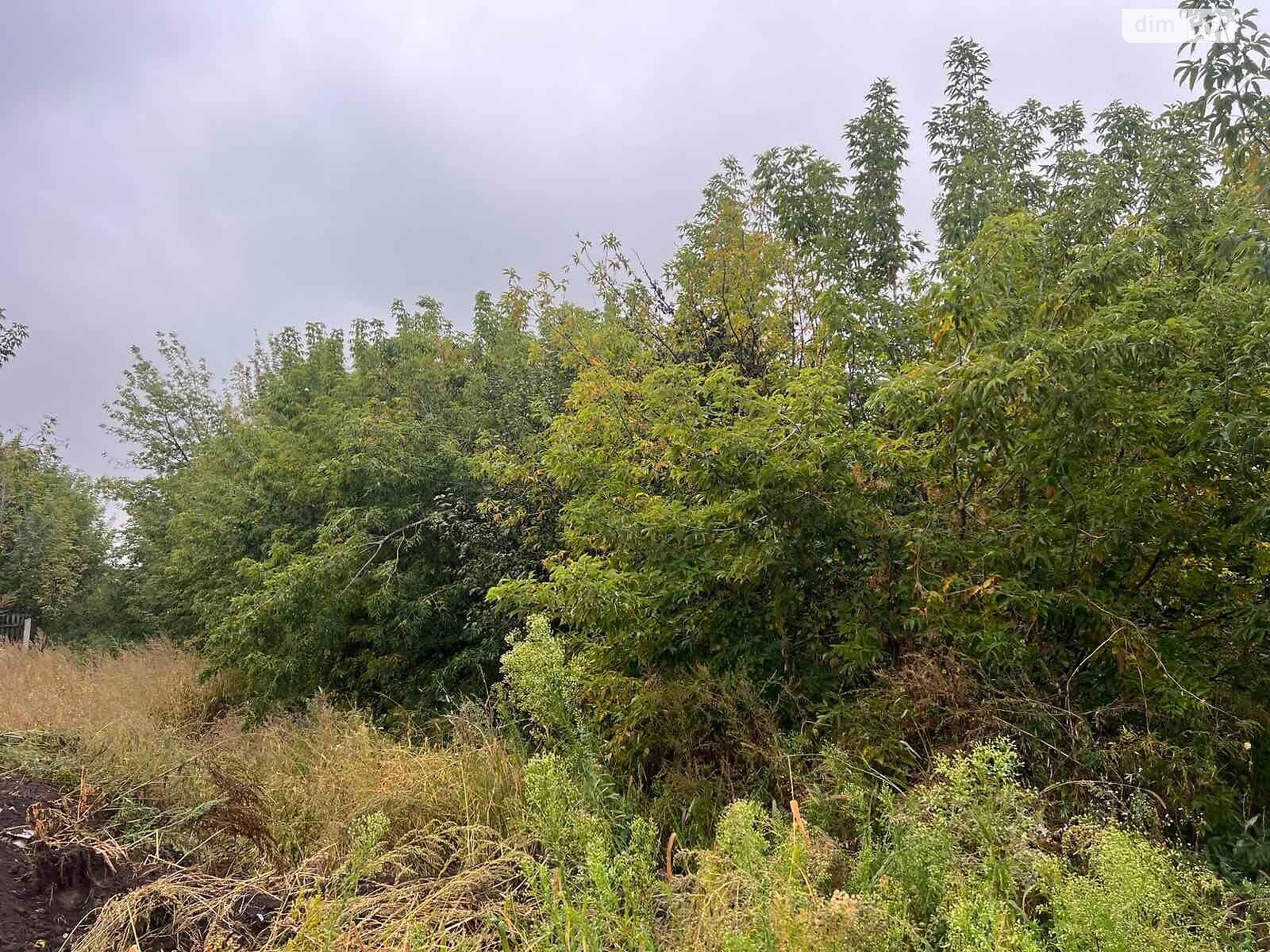 Земельна ділянка комерційного призначення в Сосниці, площа 0.7 Га фото 1