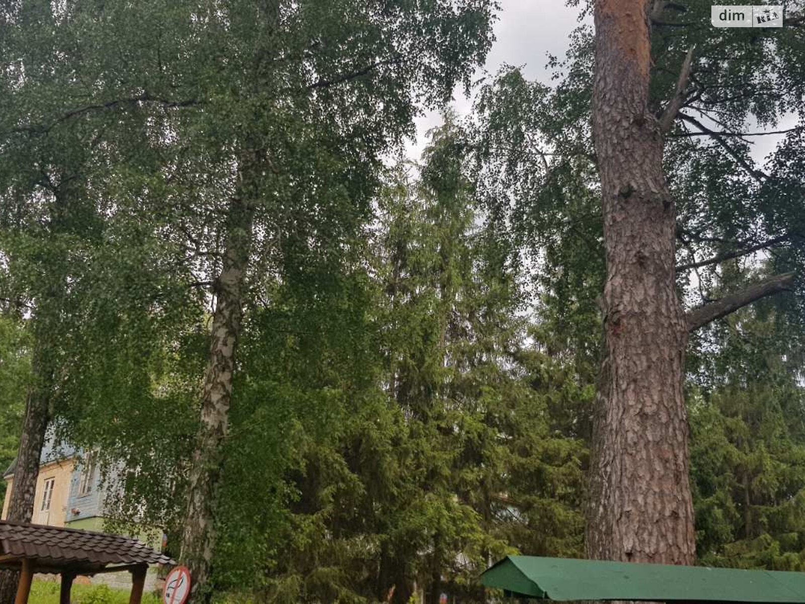 Земельна ділянка комерційного призначення в Старому Мерчику, площа 200 соток фото 1