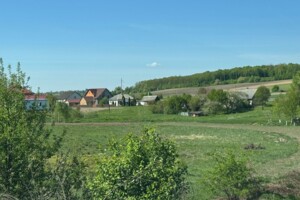 Земельный участок коммерческого назначения в Сторожинце, площадь 0.3 Га фото 1