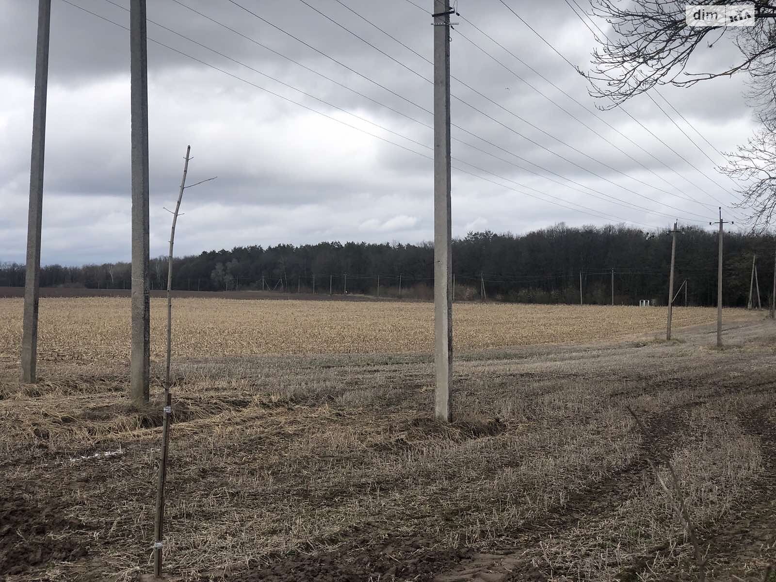 Земельна ділянка комерційного призначення в Стрижавці, площа 1.08 Га фото 1