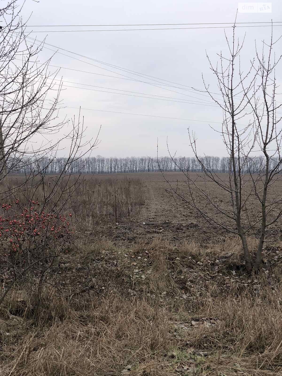 Земельна ділянка комерційного призначення в Стрижавці, площа 1.08 Га фото 1