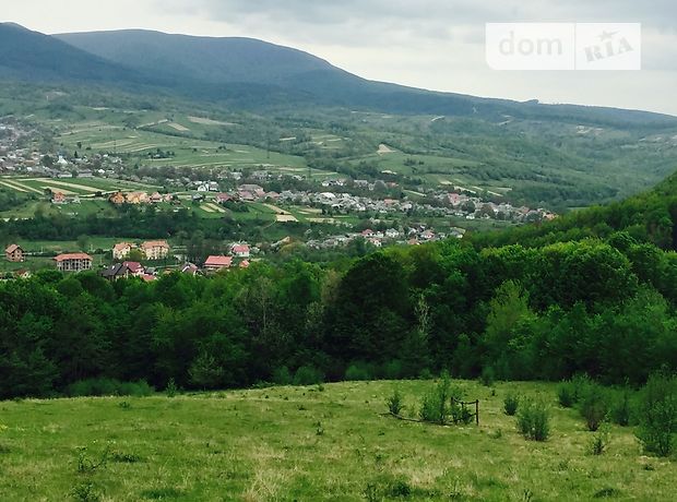 Продаж землі комерційного призначення, Закарпатська, Свалява, c. Голубине Продаж землі комерційного призначення, Закарпатська, Свалява, c. Голубине