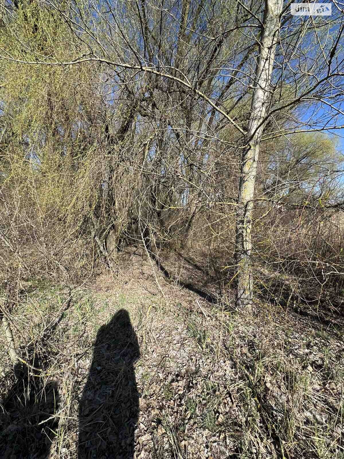 Земельна ділянка комерційного призначення в Свидівці, площа 1000 Га фото 1 Земельна ділянка комерційного призначення в Свидівці, площа 1000 Га фото 1