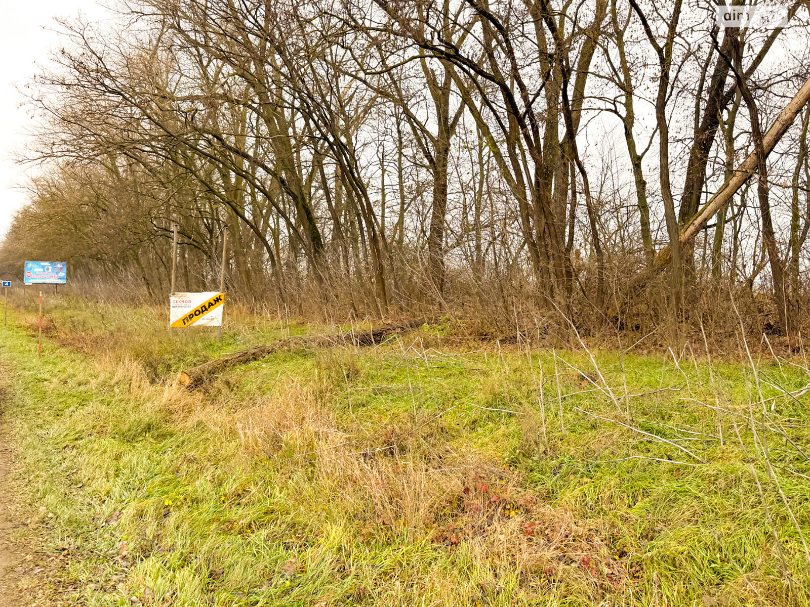 Земельный участок коммерческого назначения в Тернополе, площадь 10 соток фото 1