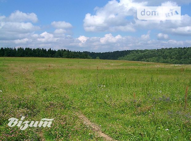 Земля коммерческого назначения в селе Остров, площадь 1 Га фото 2 Земля коммерческого назначения в селе Остров, площадь 1 Га фото 2