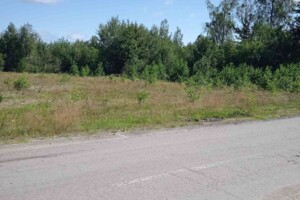 Земельный участок коммерческого назначения в Томашгороде, площадь 0.3 Га фото 2 Земельный участок коммерческого назначения в Томашгороде, площадь 0.3 Га фото 2