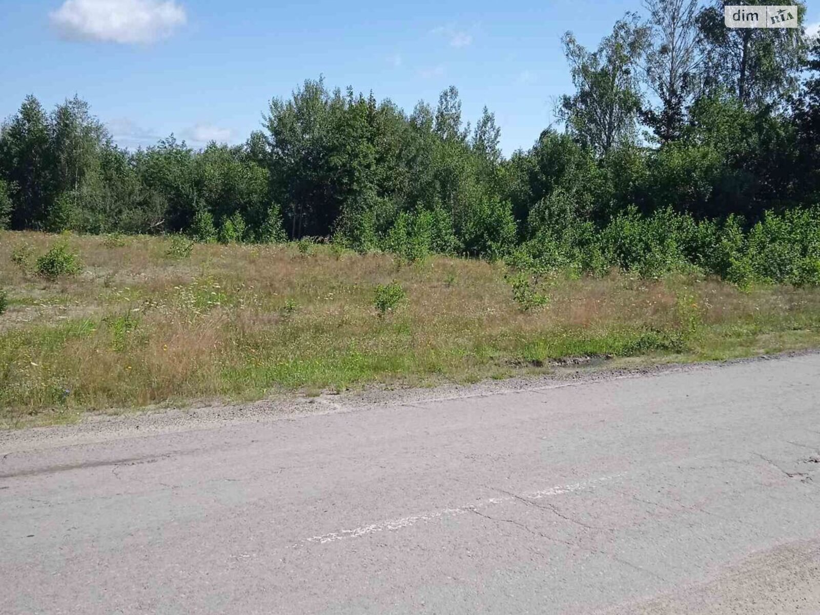 Земельный участок коммерческого назначения в Томашгороде, площадь 0.3 Га фото 1 Земельный участок коммерческого назначения в Томашгороде, площадь 0.3 Га фото 1