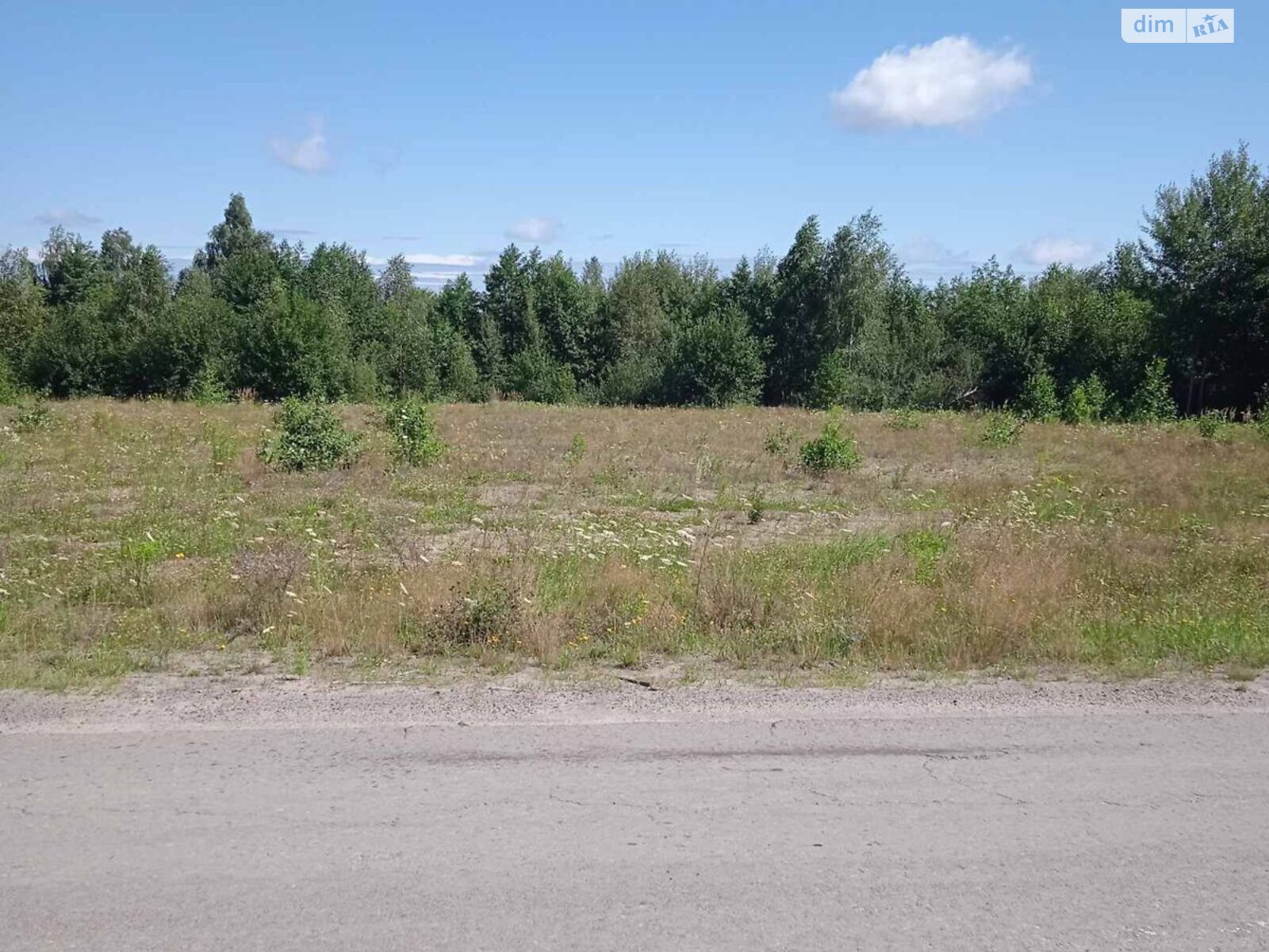 Земельный участок коммерческого назначения в Томашгороде, площадь 0.3 Га фото 1 Земельный участок коммерческого назначения в Томашгороде, площадь 0.3 Га фото 1