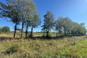 Земельный участок коммерческого назначения в Цуциловом, площадь 1.07 Га фото 2 Земельный участок коммерческого назначения в Цуциловом, площадь 1.07 Га фото 2