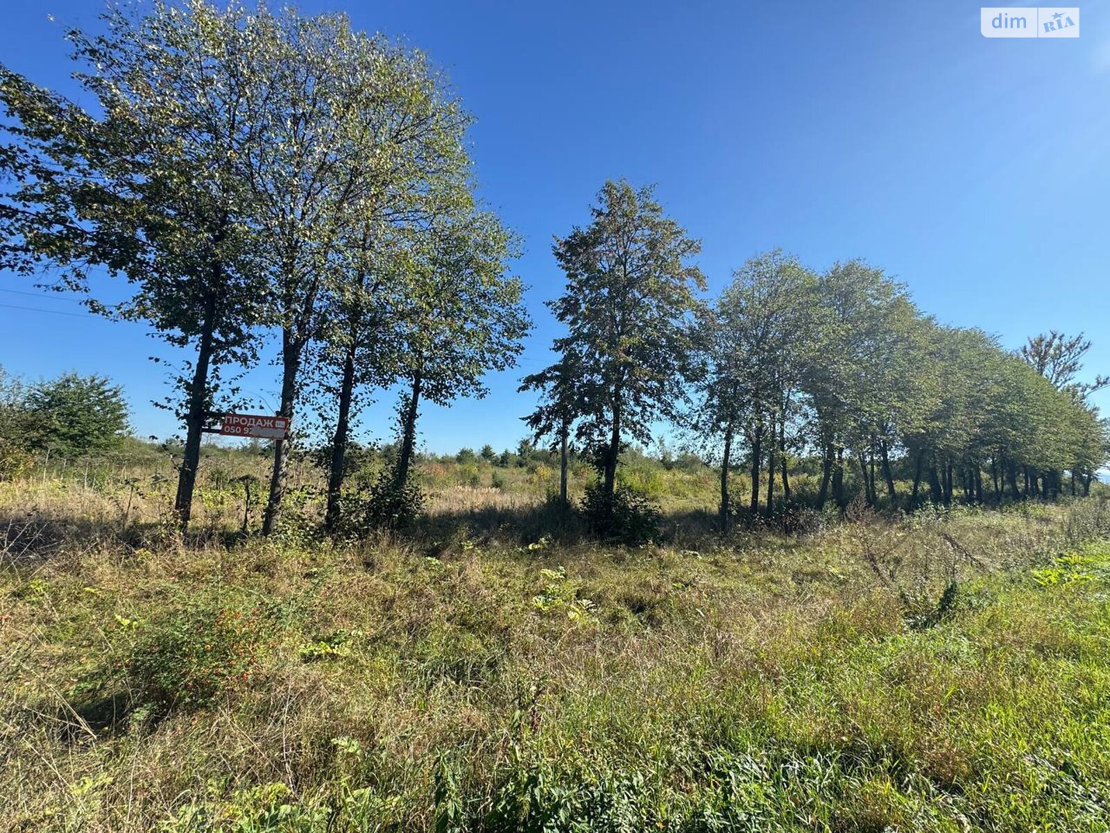 Земельный участок коммерческого назначения в Цуциловом, площадь 1.07 Га фото 1 Земельный участок коммерческого назначения в Цуциловом, площадь 1.07 Га фото 1