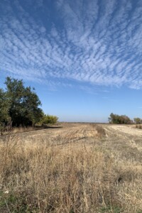 Земельна ділянка комерційного призначення в Циганське, площа 17 соток фото 2