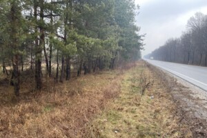 Земельный участок коммерческого назначения в Туринке, площадь 0.7411 Га фото 2