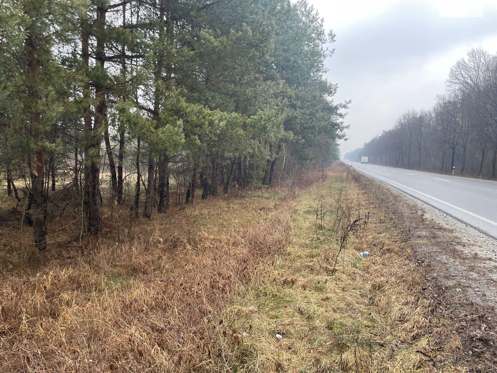 Земельный участок коммерческого назначения в Туринке, площадь 0.7411 Га фото 1