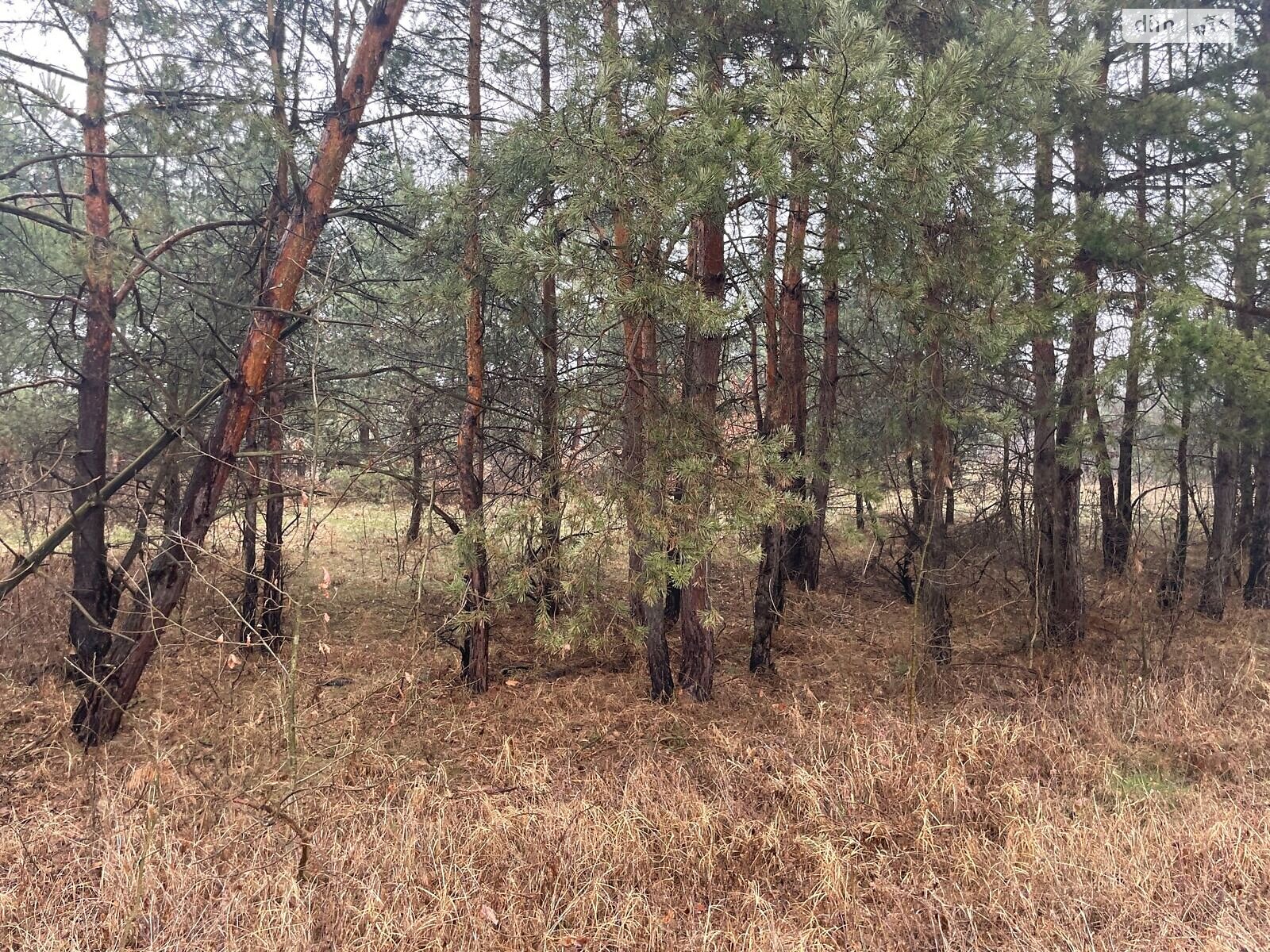 Земельный участок коммерческого назначения в Туринке, площадь 0.7411 Га фото 1