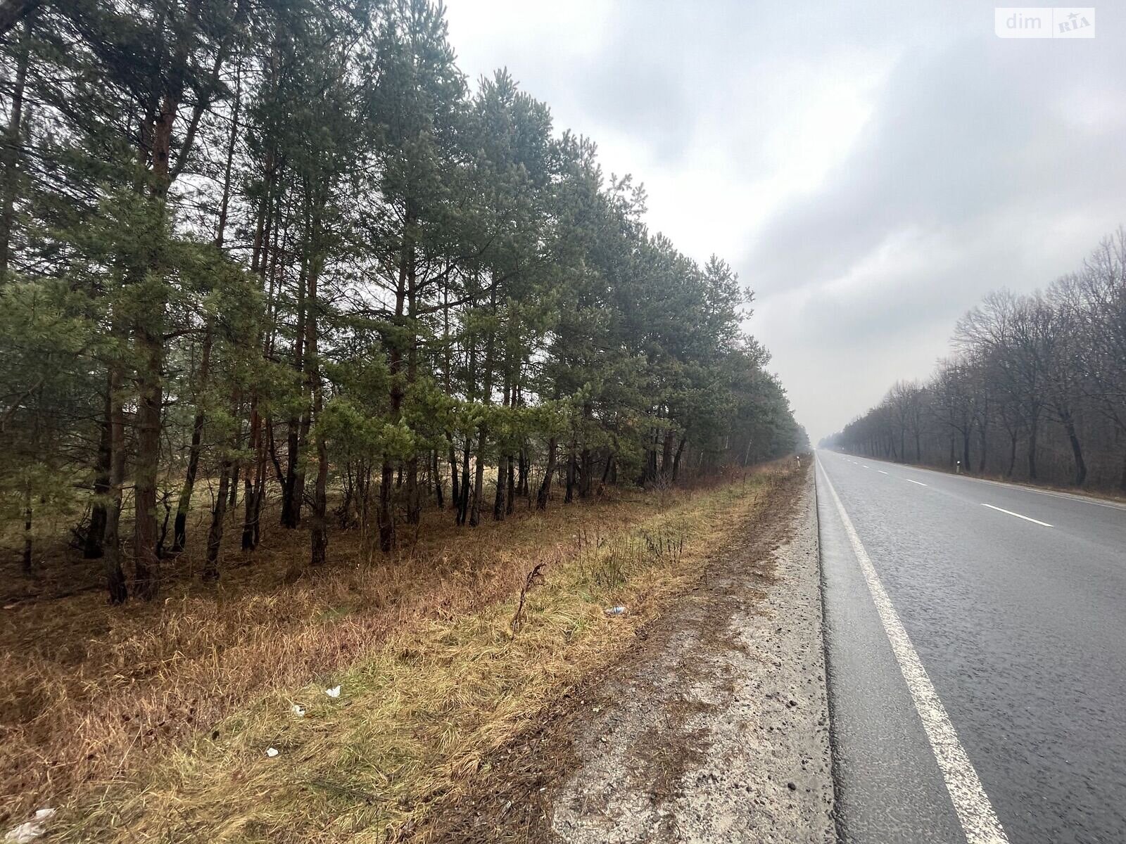 Земельный участок коммерческого назначения в Туринке, площадь 0.7411 Га фото 1