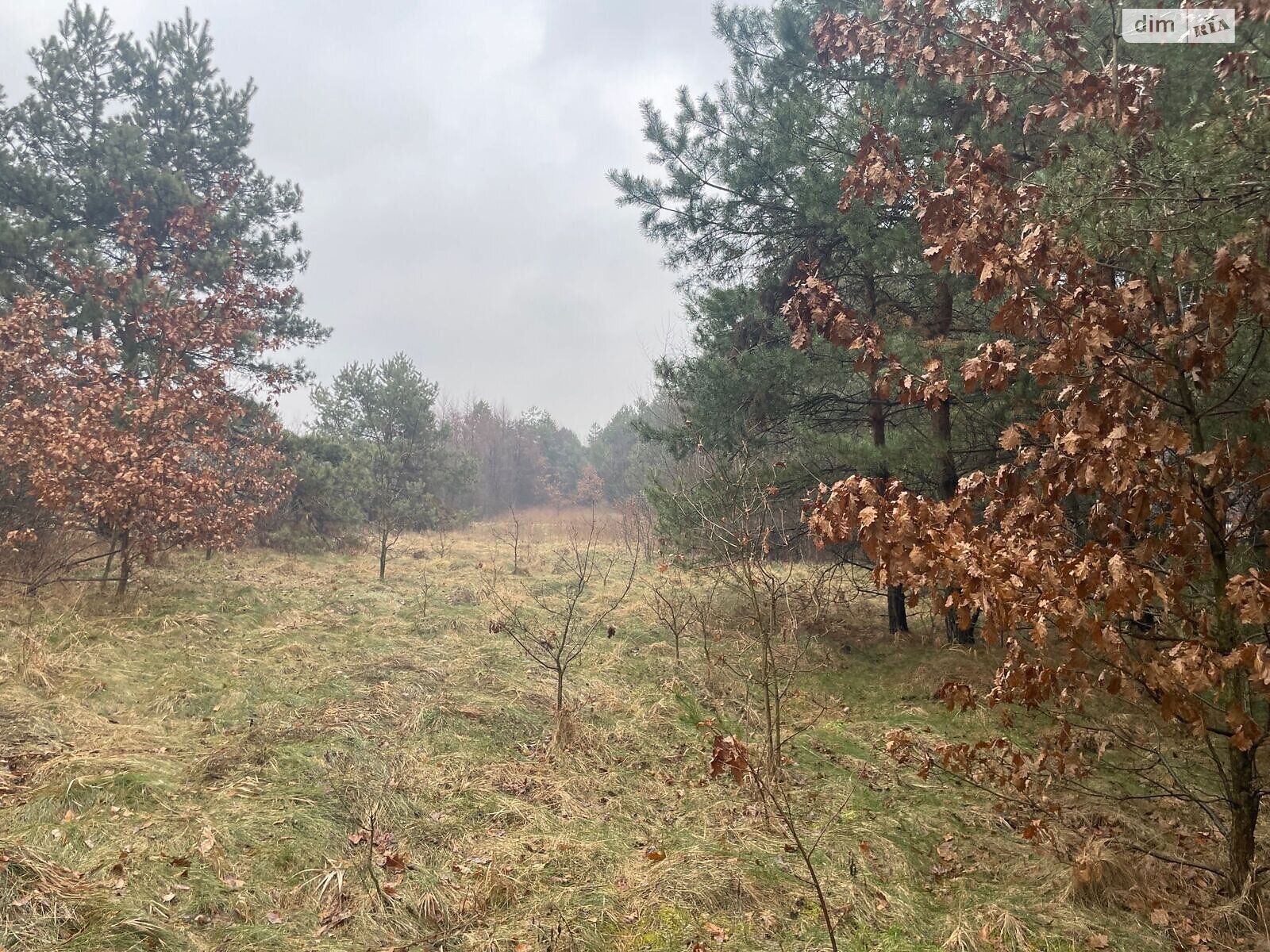 Земельный участок коммерческого назначения в Туринке, площадь 0.7411 Га фото 1