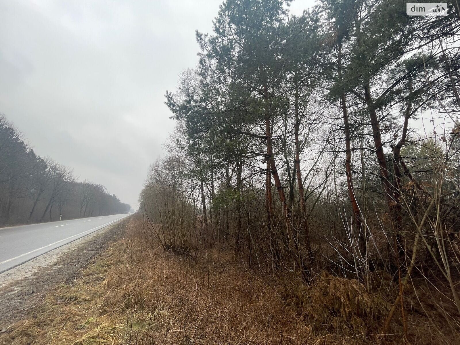 Земельный участок коммерческого назначения в Туринке, площадь 0.7411 Га фото 1