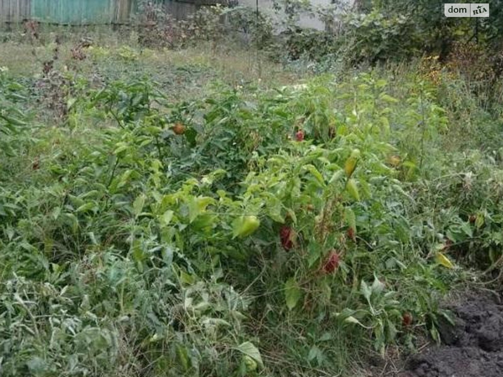 Земельна ділянка комерційного призначення в Усатове, площа NaN соток фото 1 Земельна ділянка комерційного призначення в Усатове, площа NaN соток фото 1