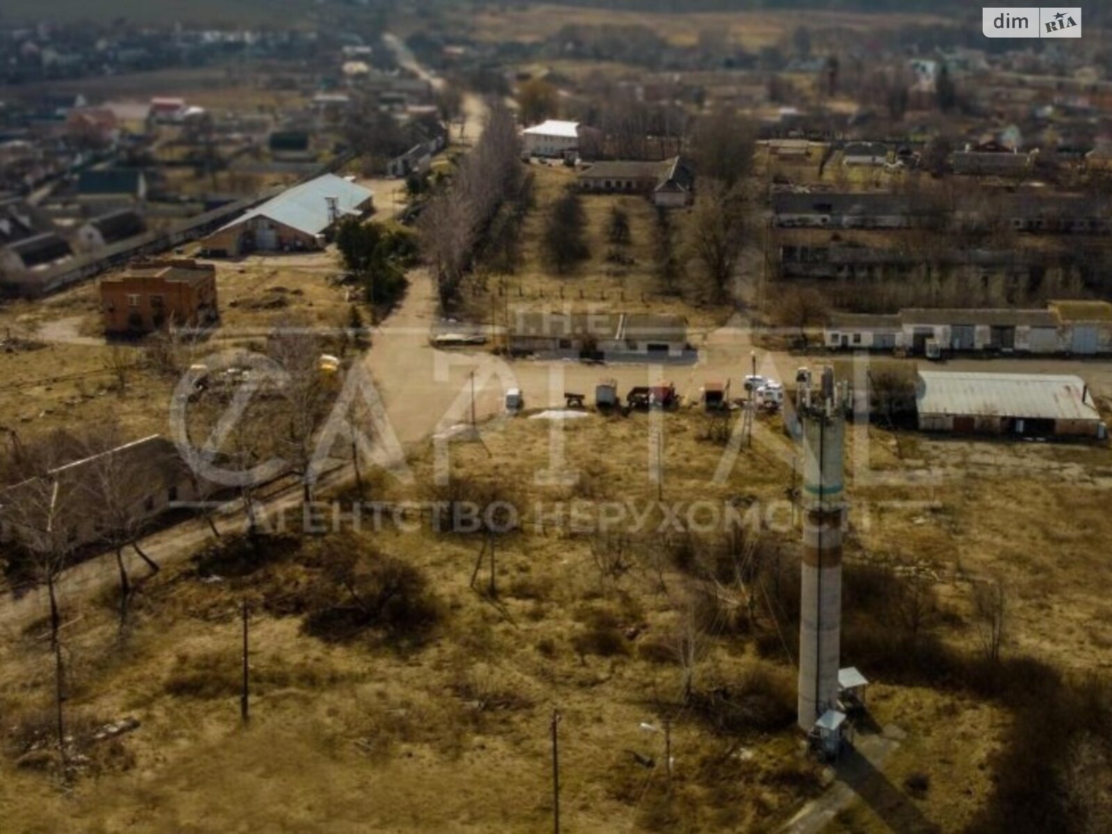 Земельный участок коммерческого назначения в Василеве, площадь 2500 соток фото 1
