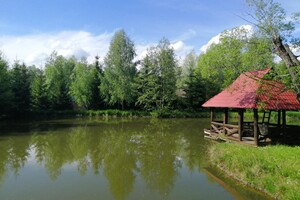 Земельна ділянка комерційного призначення в Здорівці, площа 144 сотки фото 2