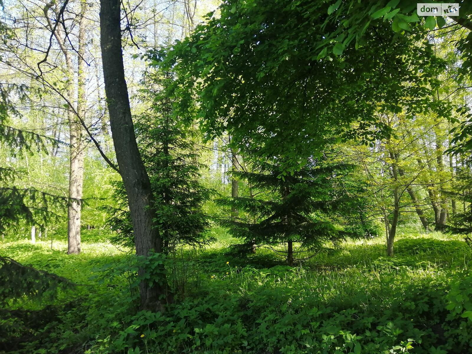 Земельна ділянка комерційного призначення в Здорівці, площа 144 сотки фото 1