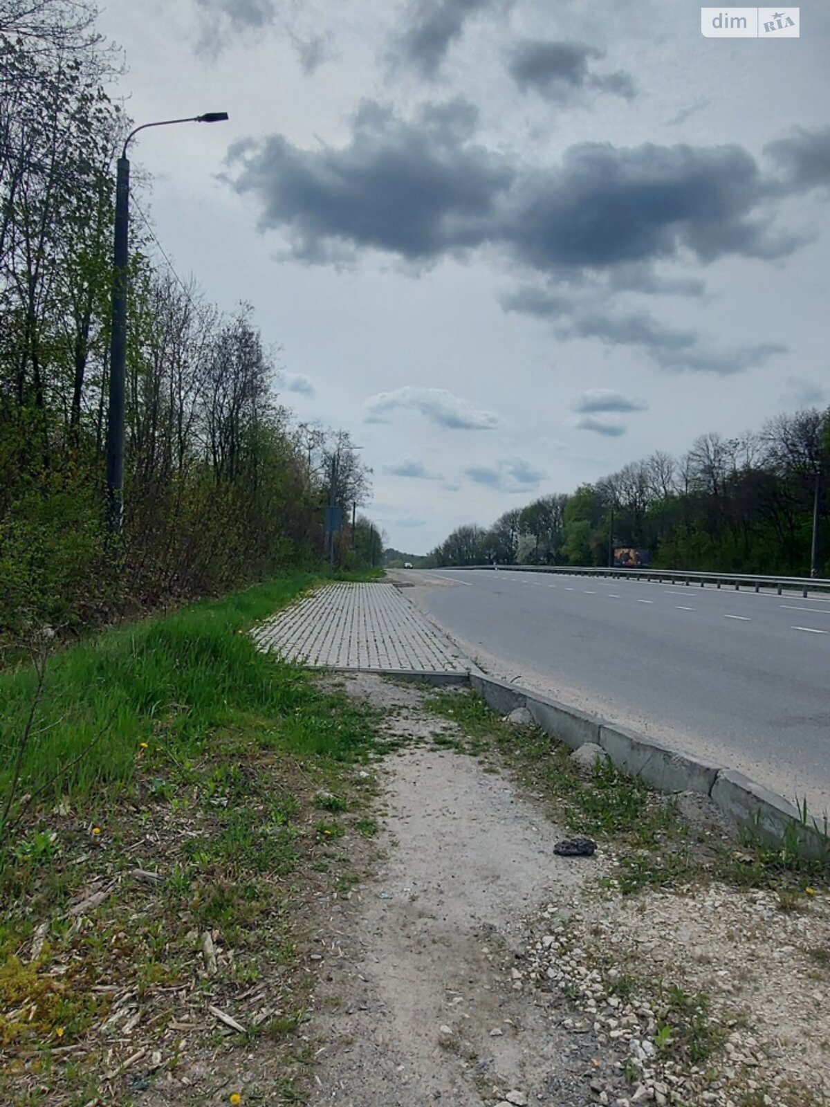 Земельна ділянка комерційного призначення в Великій Березовиці, площа 20 соток фото 1