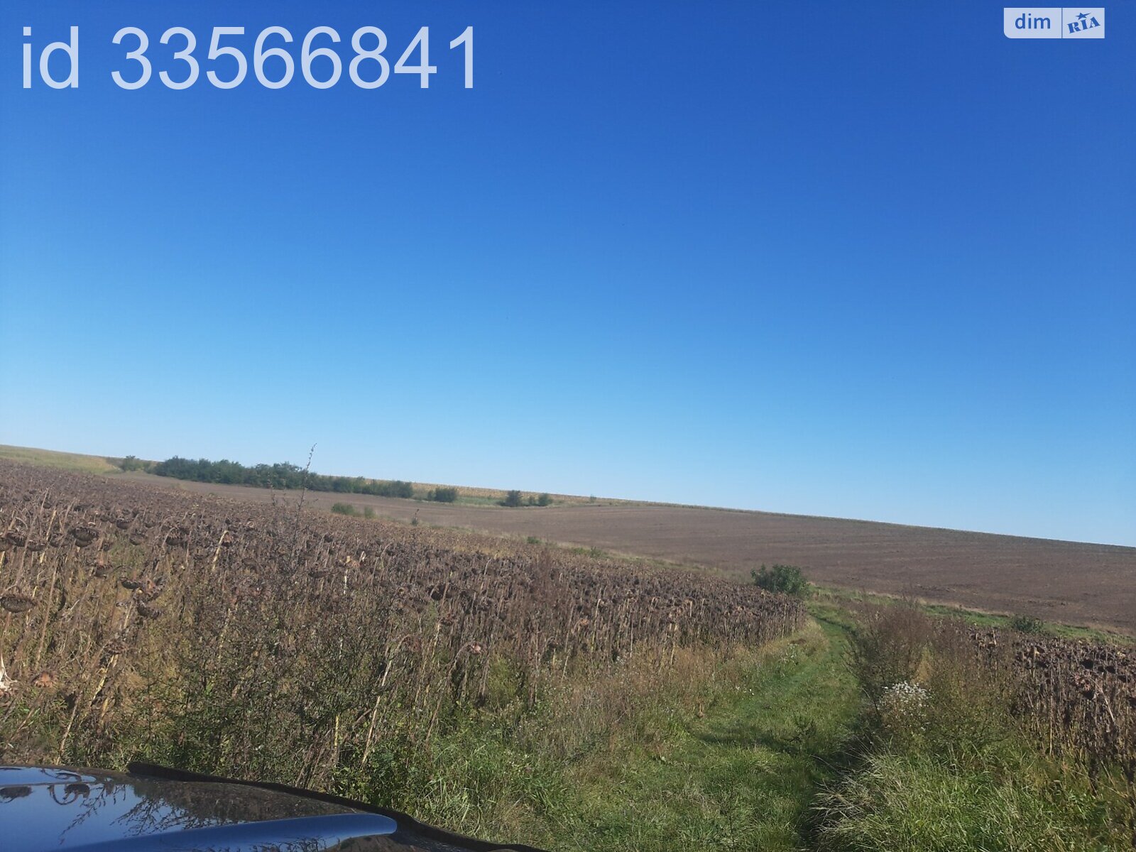 Земля комерційного призначення в Великій Березовиці, район Кемпінг, площа 12.9 Га фото 1