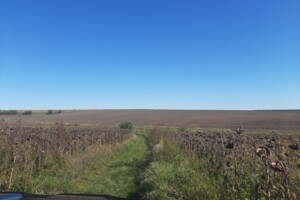 Земля комерційного призначення в Великій Березовиці, район Кемпінг, площа 12.9 Га фото 2