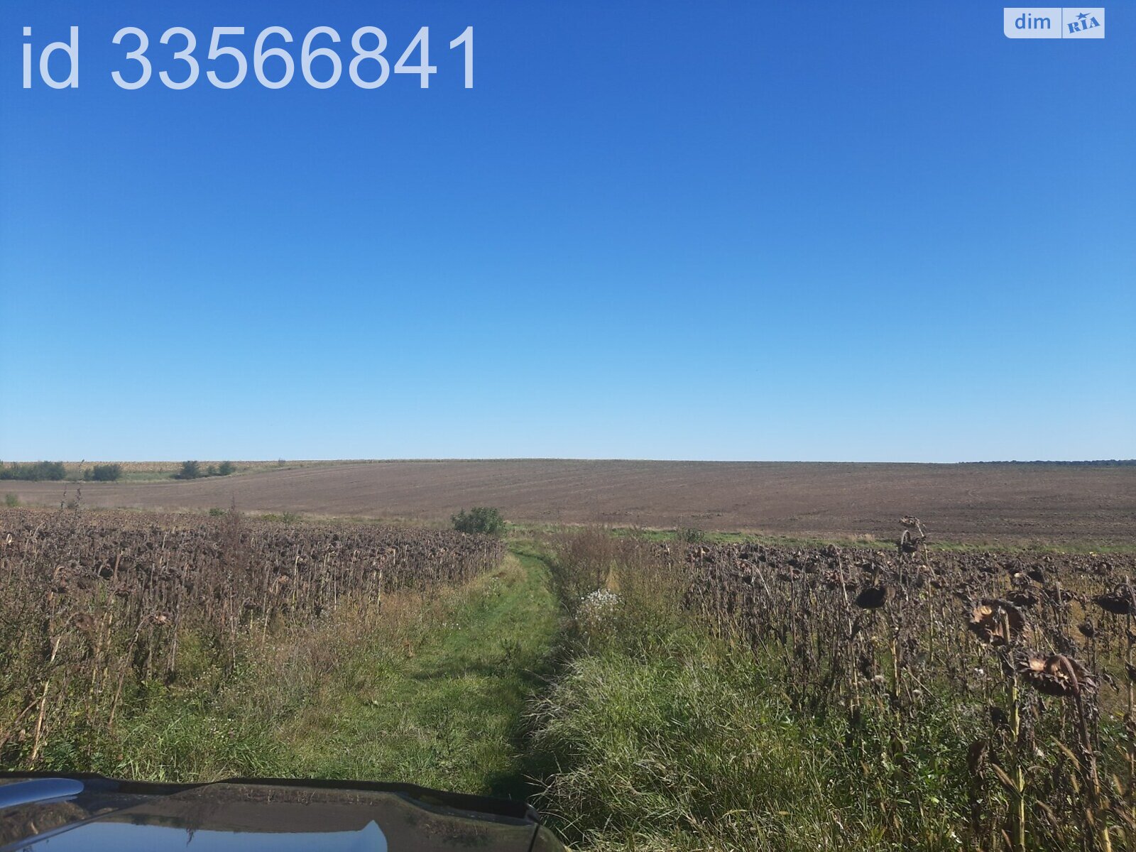 Земля комерційного призначення в Великій Березовиці, район Кемпінг, площа 12.9 Га фото 1