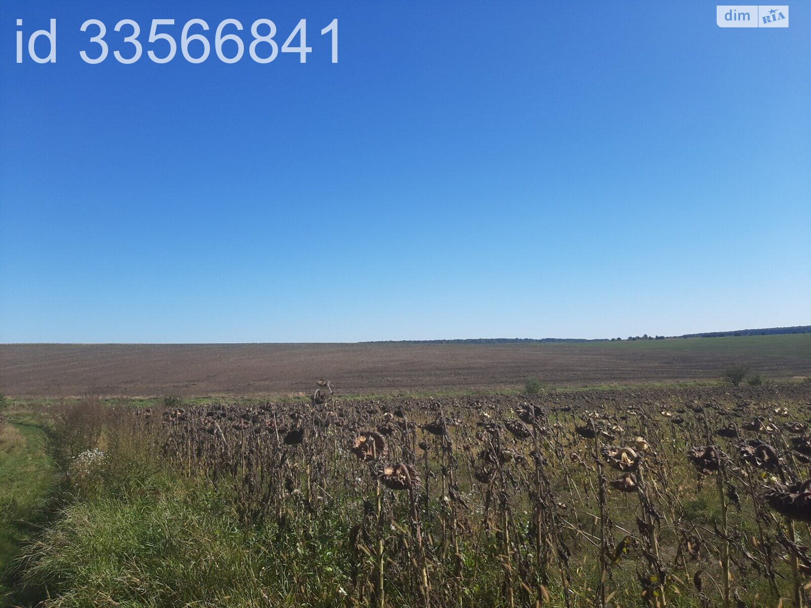 Земля комерційного призначення в Великій Березовиці, район Кемпінг, площа 12.9 Га фото 1