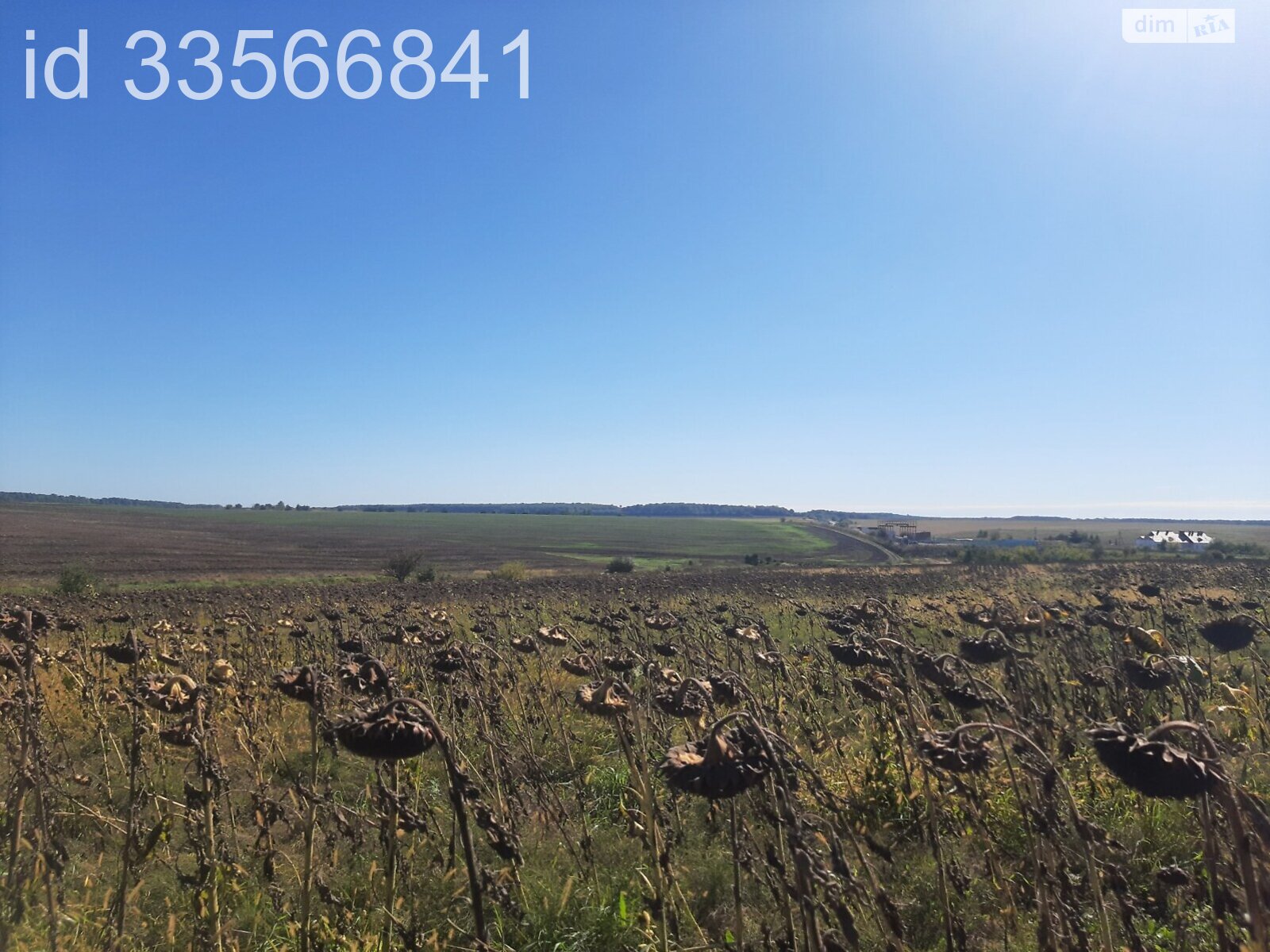 Земля комерційного призначення в Великій Березовиці, район Кемпінг, площа 12.9 Га фото 1