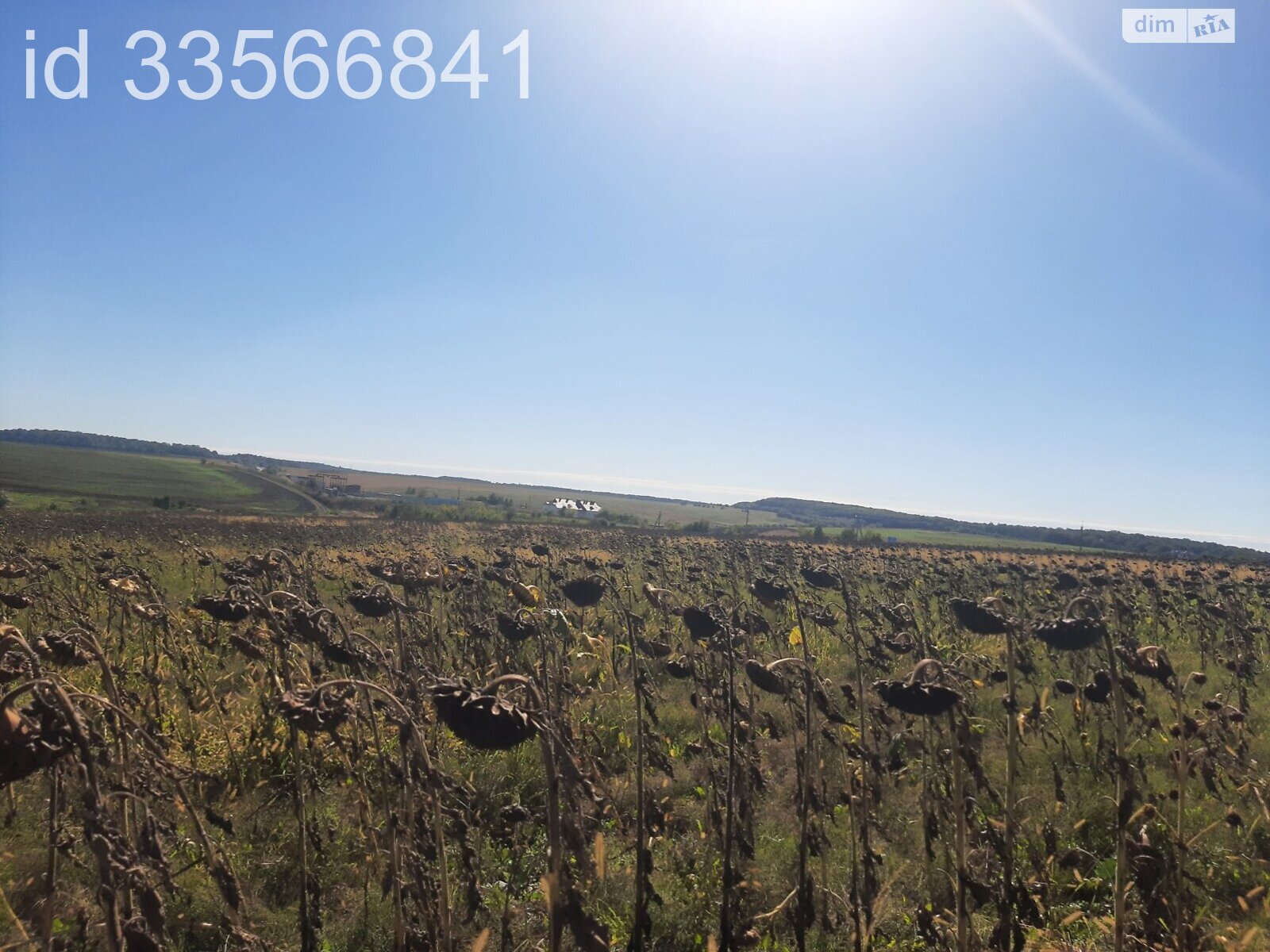 Земля комерційного призначення в Великій Березовиці, район Кемпінг, площа 12.9 Га фото 1