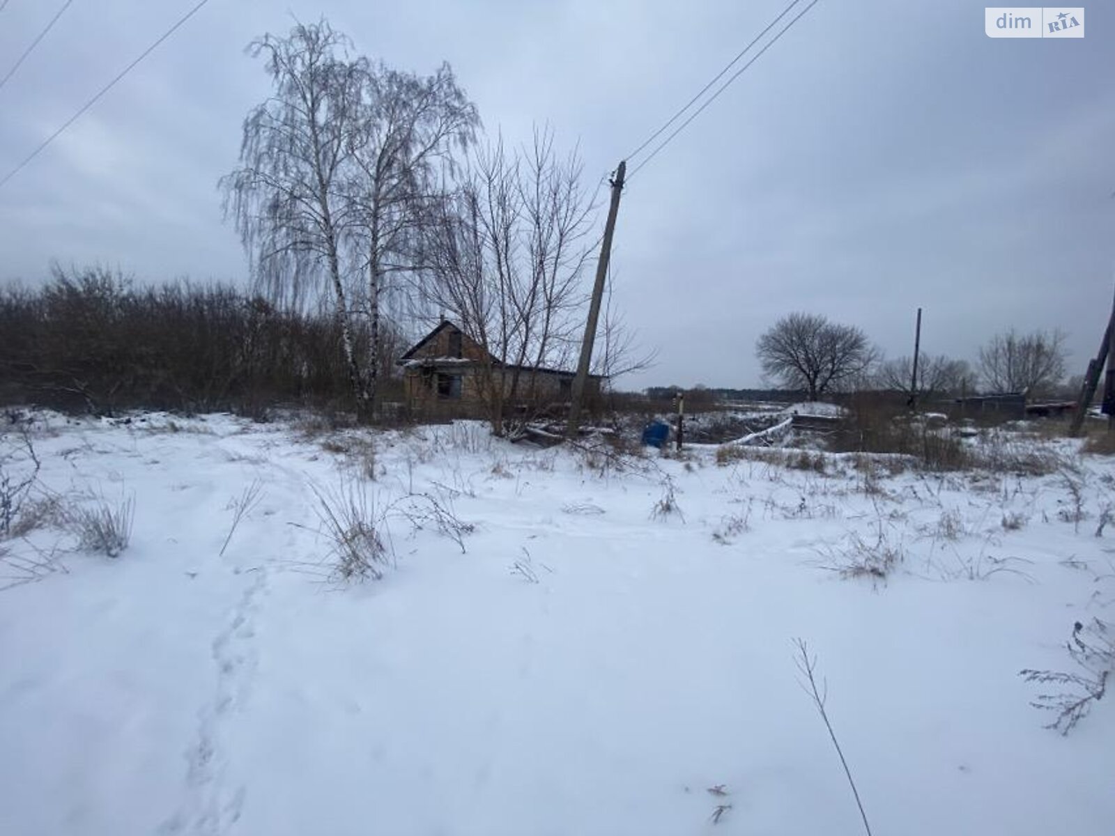 Земельный участок коммерческого назначения в Великой Димерке, площадь 61 сотка фото 1