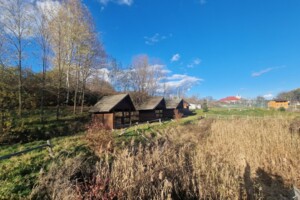 Земельна ділянка комерційного призначення в Великому Кучурові, площа 76 соток фото 2