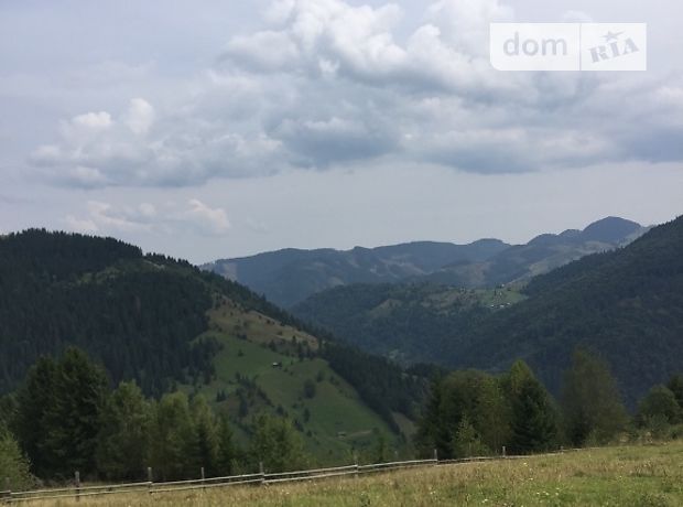Земля коммерческого назначения в селе Гринява, площадь 75 соток фото 1 Земля коммерческого назначения в селе Гринява, площадь 75 соток фото 1