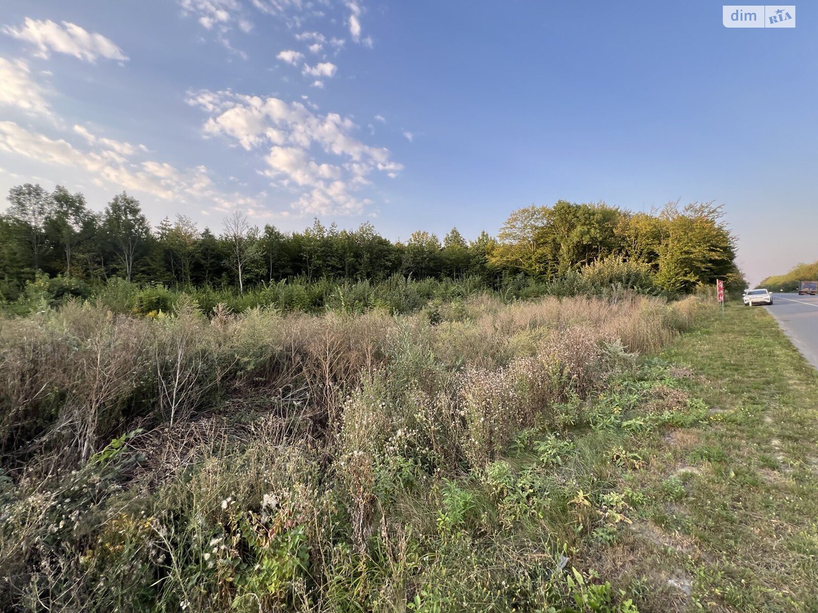 Земельна ділянка комерційного призначення в Некрасове, площа 1 Га фото 1