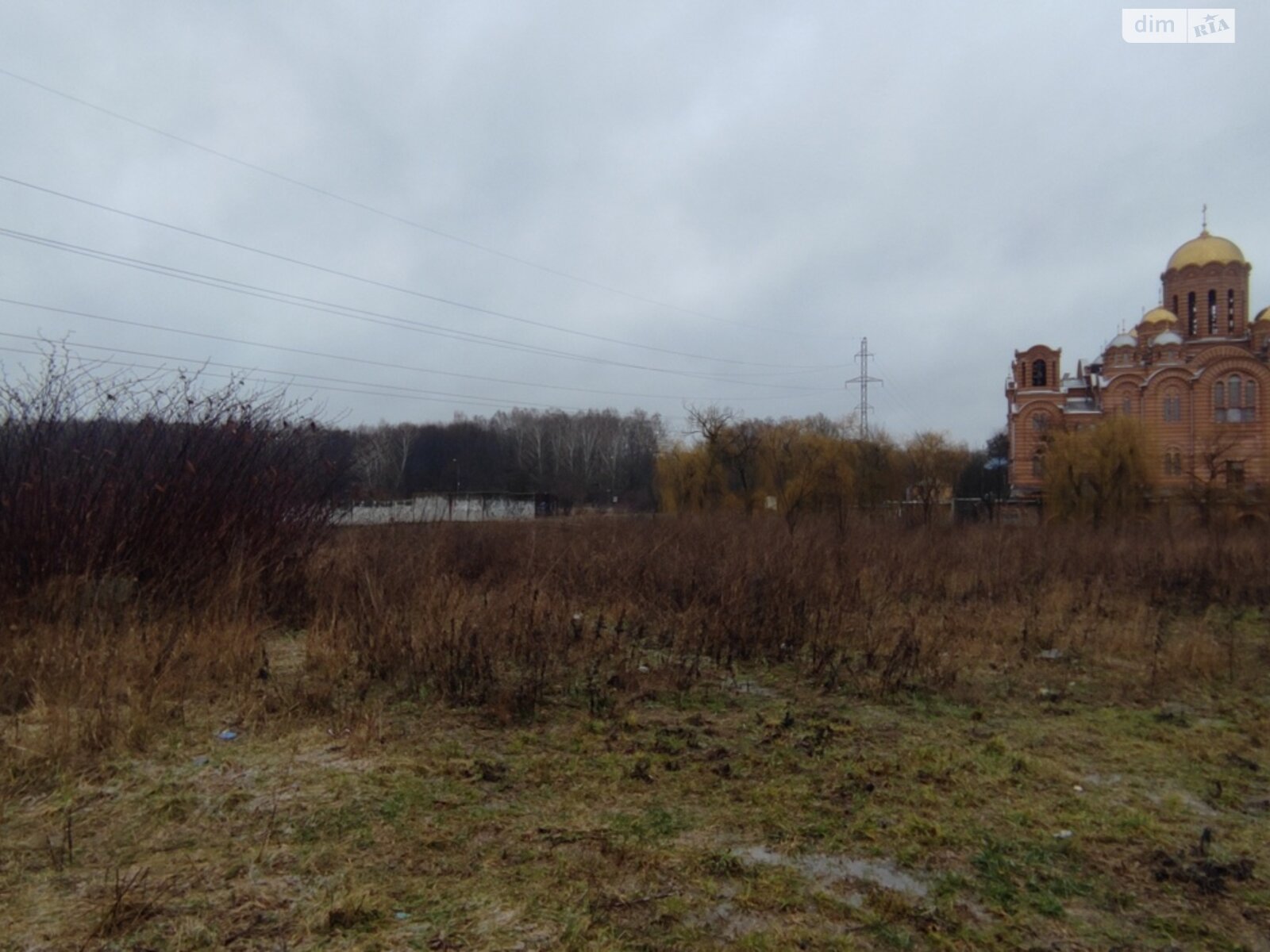 Земля комерційного призначення в Вінниці, район Електромережа, площа 60 соток фото 1