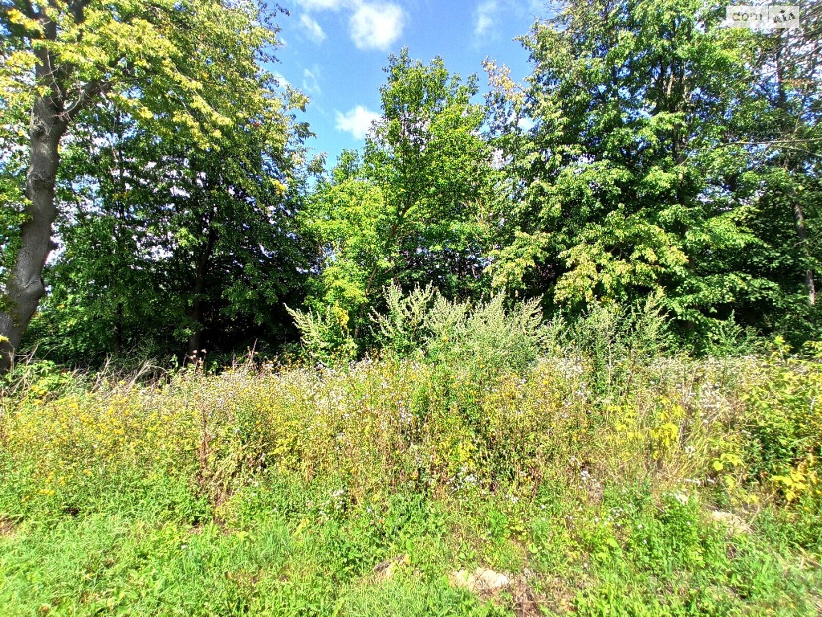 Земля коммерческого назначения в Виннице, район Гниванское шоссе, площадь 13 соток фото 1