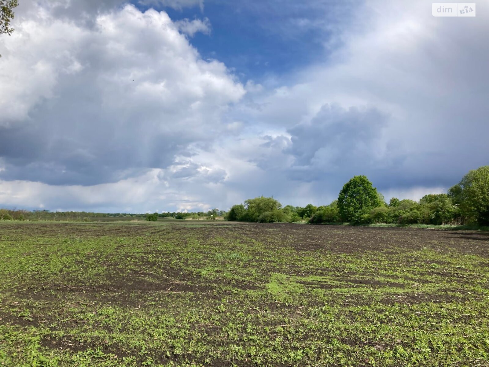 Земельна ділянка комерційного призначення в Вінниці, площа 1.71 Га фото 1 Земельна ділянка комерційного призначення в Вінниці, площа 1.71 Га фото 1