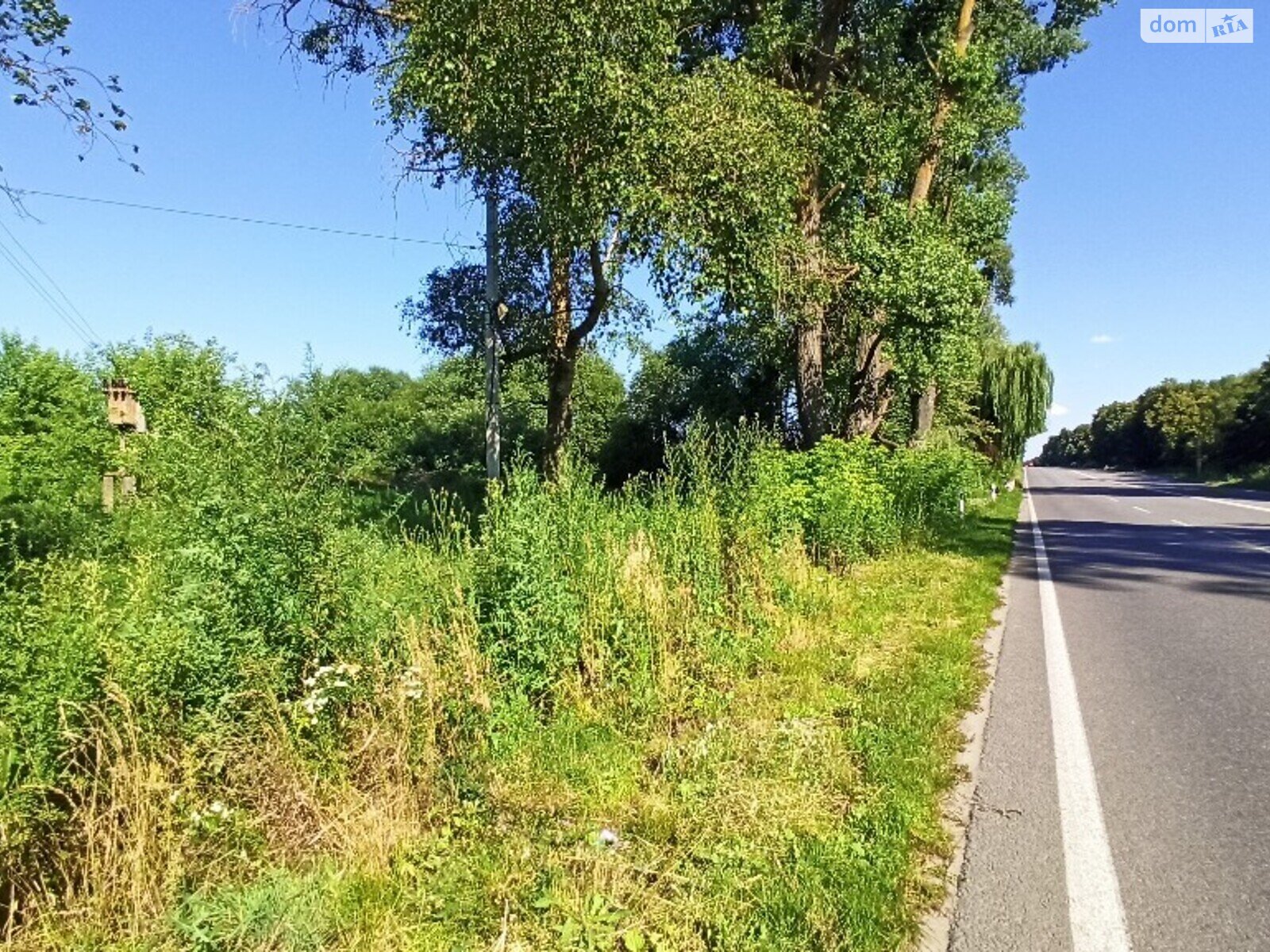 Земельный участок коммерческого назначения в Ксаверовке, площадь 1 Га фото 1