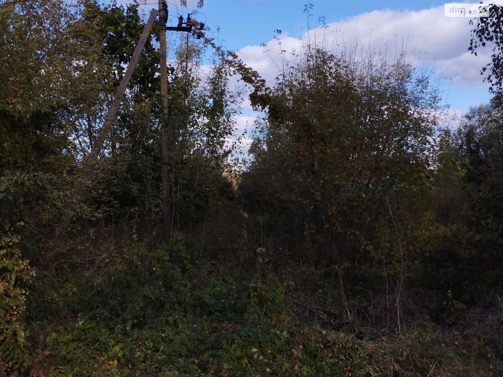 Земельна ділянка комерційного призначення в Ксаверівці, площа 1 Га фото 1