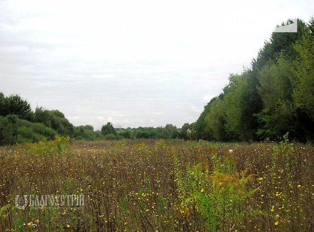 Земельный участок коммерческого назначения в Ксаверовке, площадь 12.5 сотки фото 1