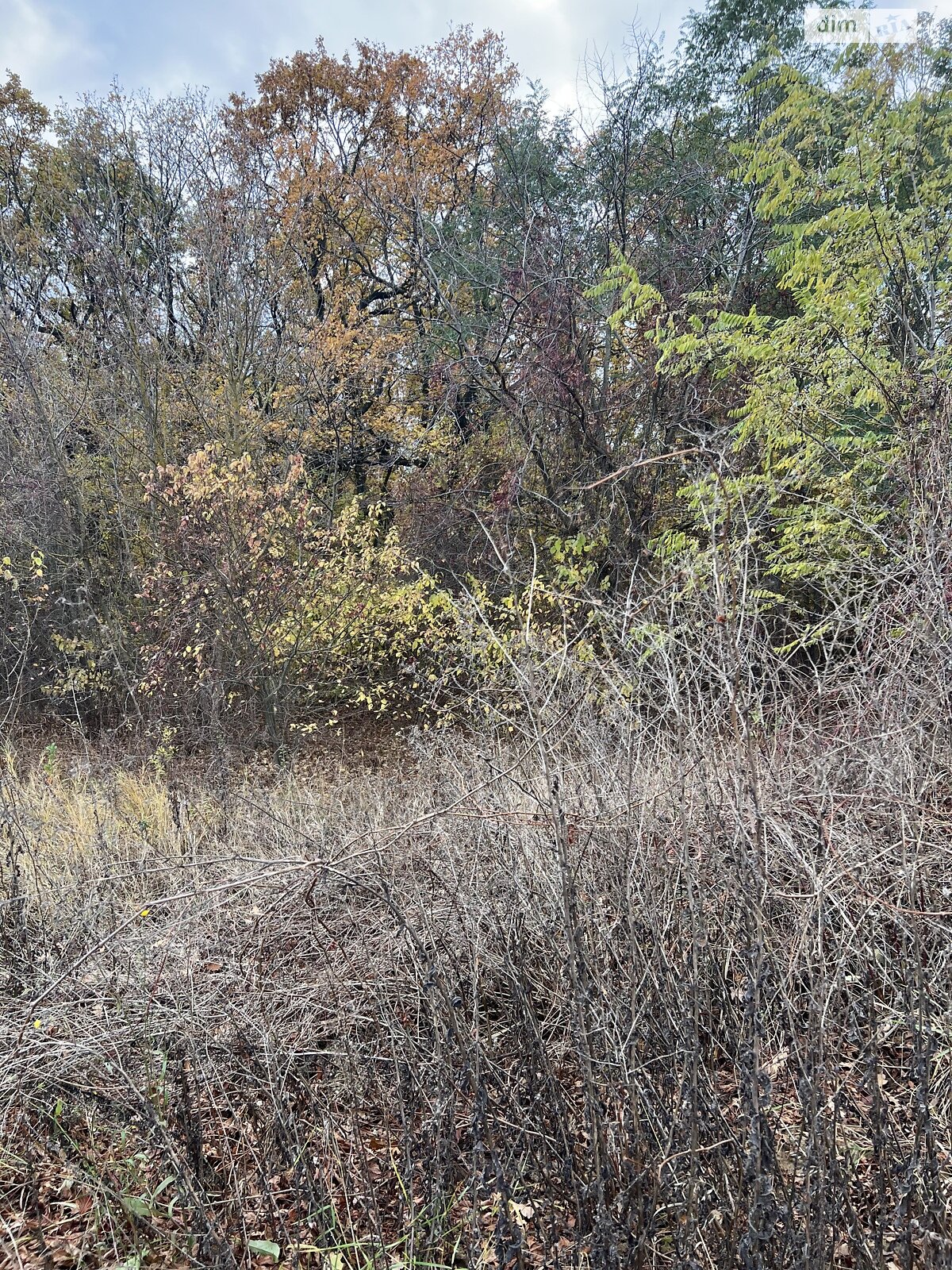 Земля комерційного призначення в Вінниці, район Ленінський, площа 15 соток фото 1 Земля комерційного призначення в Вінниці, район Ленінський, площа 15 соток фото 1