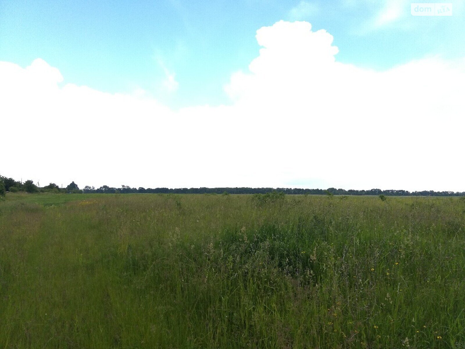 Земельна ділянка комерційного призначення в Медмежому Вушку, площа 40 соток фото 1